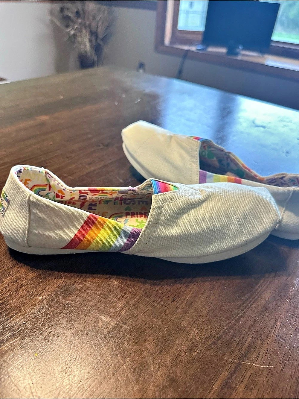 TOMS Pride Rainbow Love Unity Alpargata Slip On Shoes Size 9 - Picture 6 of 11